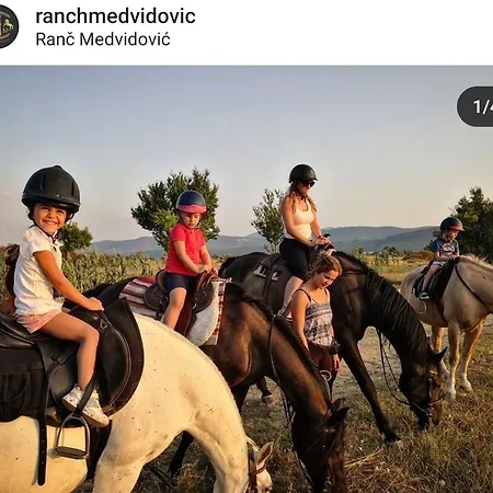 Vito - With Heated Pool, Whirlpool, Gym * Sarici (Split-Dalmatia)