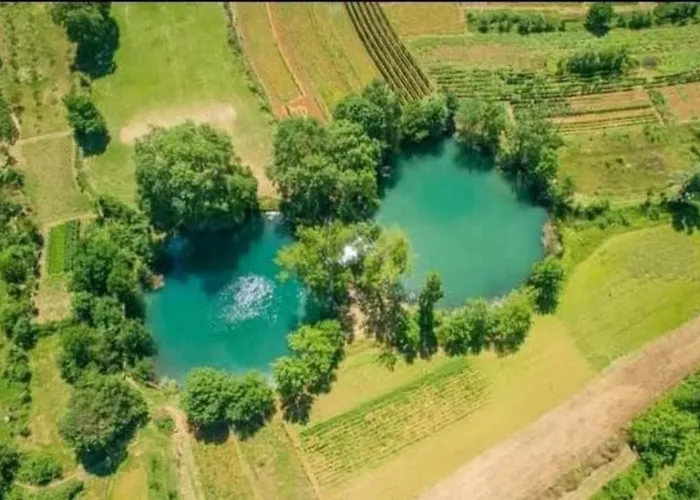 Vito - With Heated Pool, Whirlpool, Gym Tatil Evi Sarici (Split-Dalmatia)